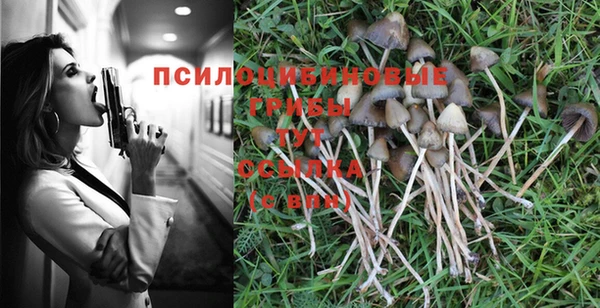 метадон Алзамай