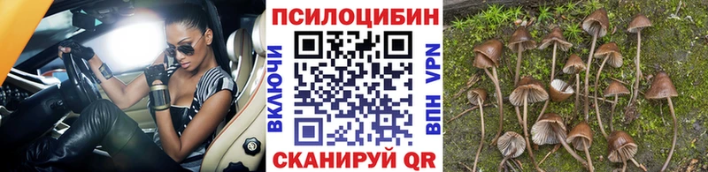 Галлюциногенные грибы Psilocybine cubensis  наркошоп  МЕГА зеркало  Алупка 